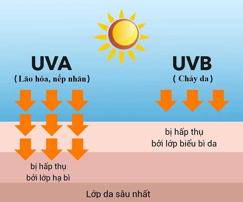 Tia UV là gì? Các tác hại tia UV 5